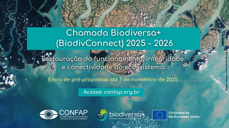 imagem sem descrição.